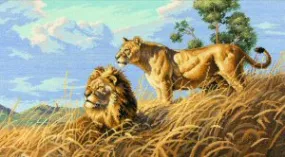 African Lions