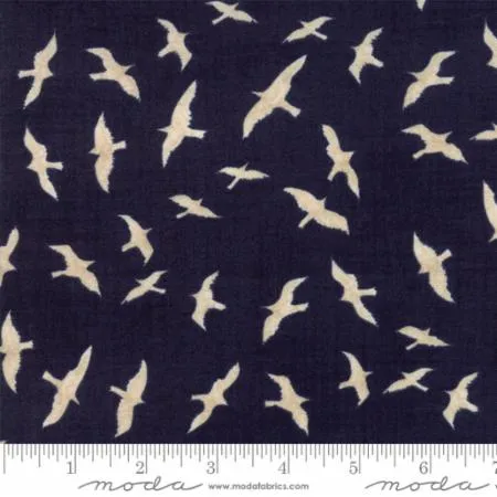 Ahoy Me Hearties by Janet Clare - Gulls in Deep Dark Ocean