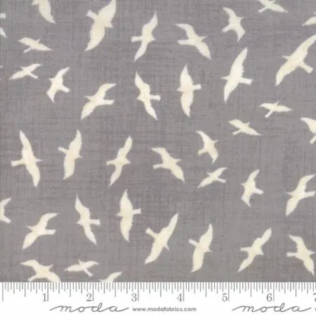 Ahoy Me Hearties by Janet Clare - Gulls in Pebble