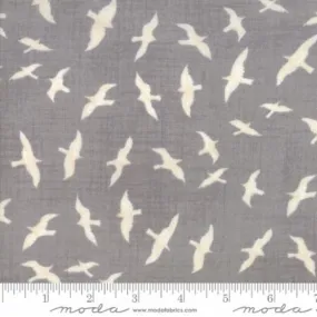 Ahoy Me Hearties by Janet Clare - Gulls in Pebble