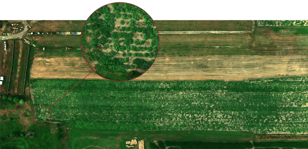 Altum 3-in-1 Multispectral  Ag Camera