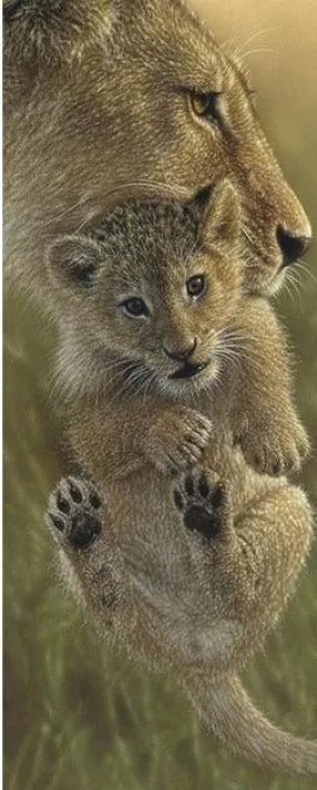Animal Diamond Painting Kit | Full Round Drill 5D Rhinestones | DIY Animal Portrait | Lioness And Cub
