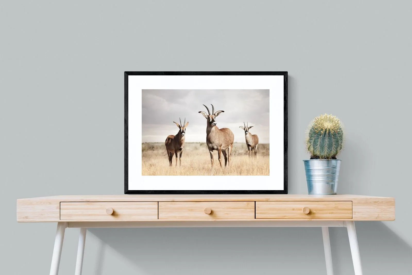 Antelope Trio