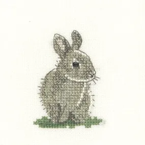 Baby Rabbit