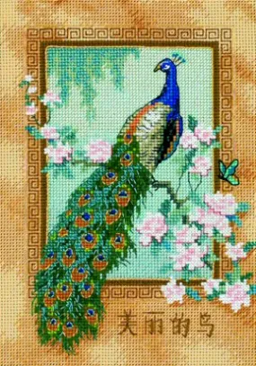 Beautiful Bird