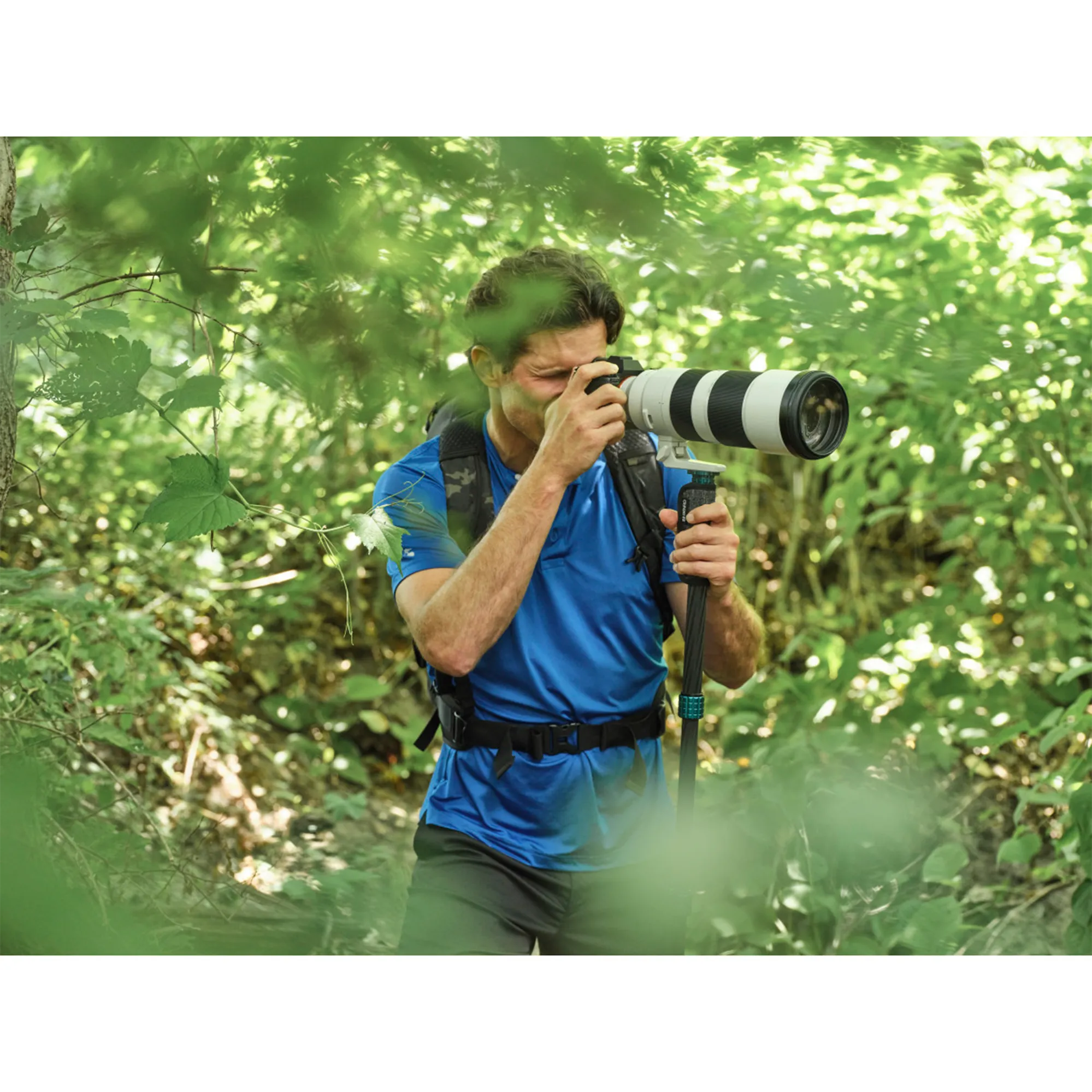 Benro MSSL09C SuperSlim Monopod