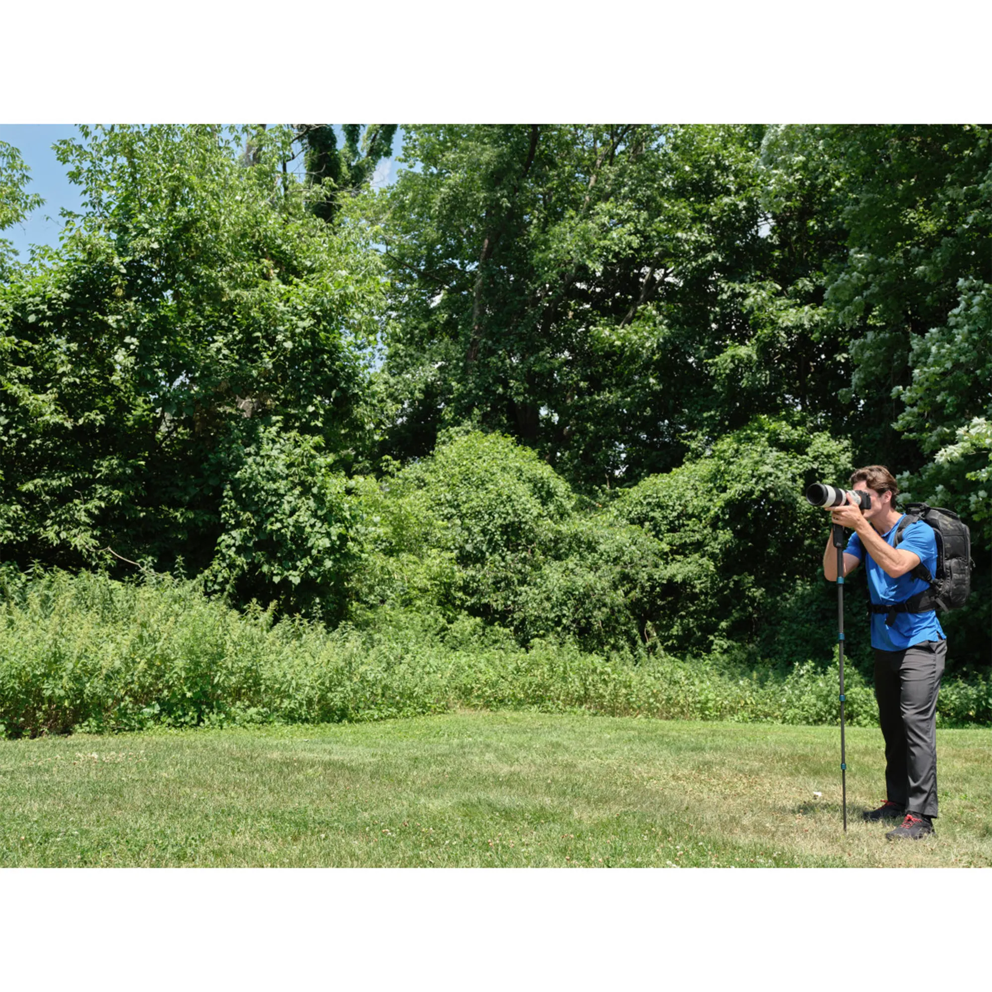 Benro MSSL09C SuperSlim Monopod
