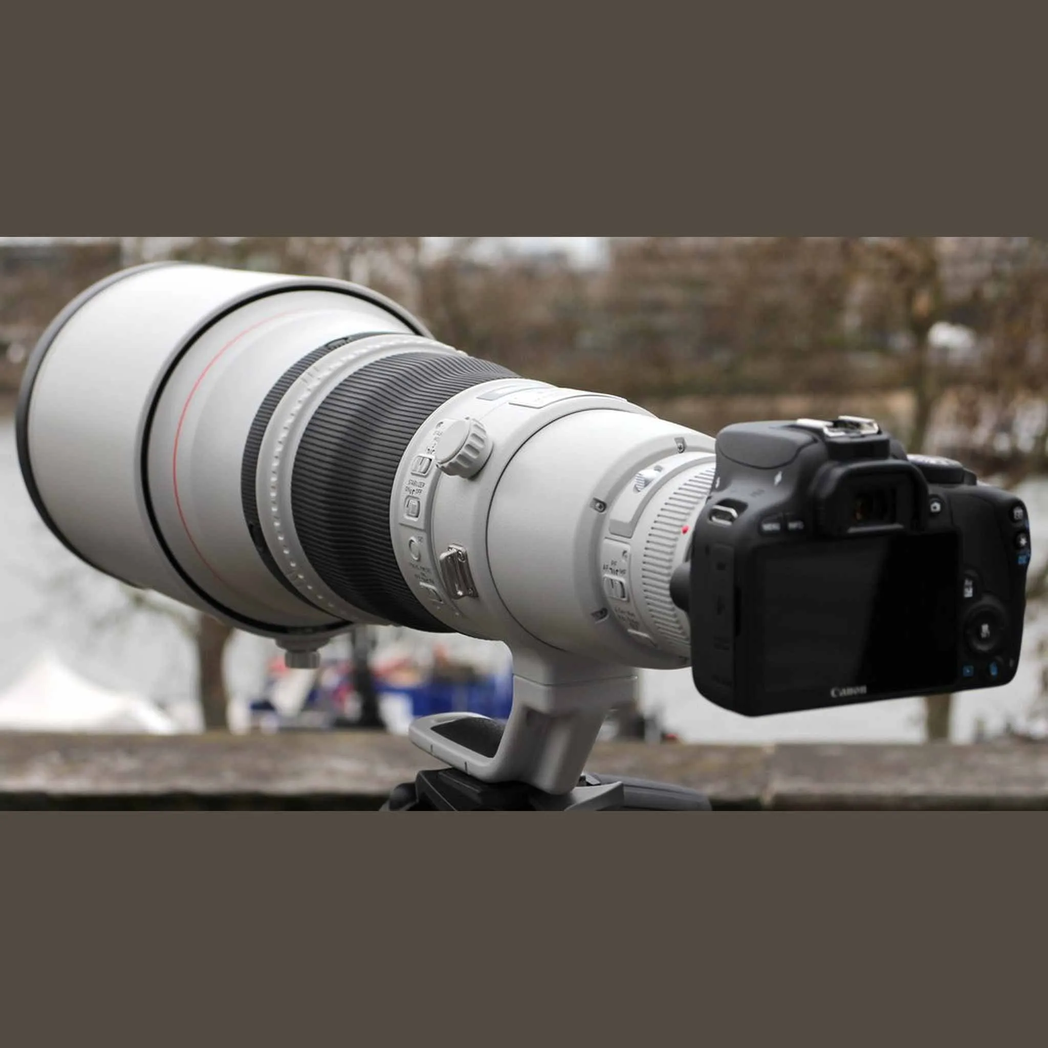 Canon EF 600mm f/4L IS III USM Lens Memory Card Bundle