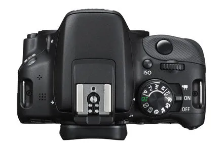 Canon EOS Rebel SL1/250D (SL3) DSLR Camera w/ EF-S 18-55mm f/3.5-5.6 STM Zoom Lens|Telephoto & Wide Angle Lenses|2pc 16GB MCs|Canon Bag|Filter Kit Bundle