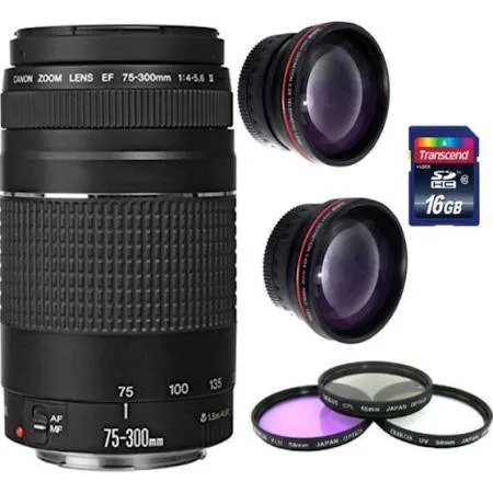 Canon Zoom Telephoto EF 75-300mm f/4.0-5.6 III Lens   16GB Accessory Kit