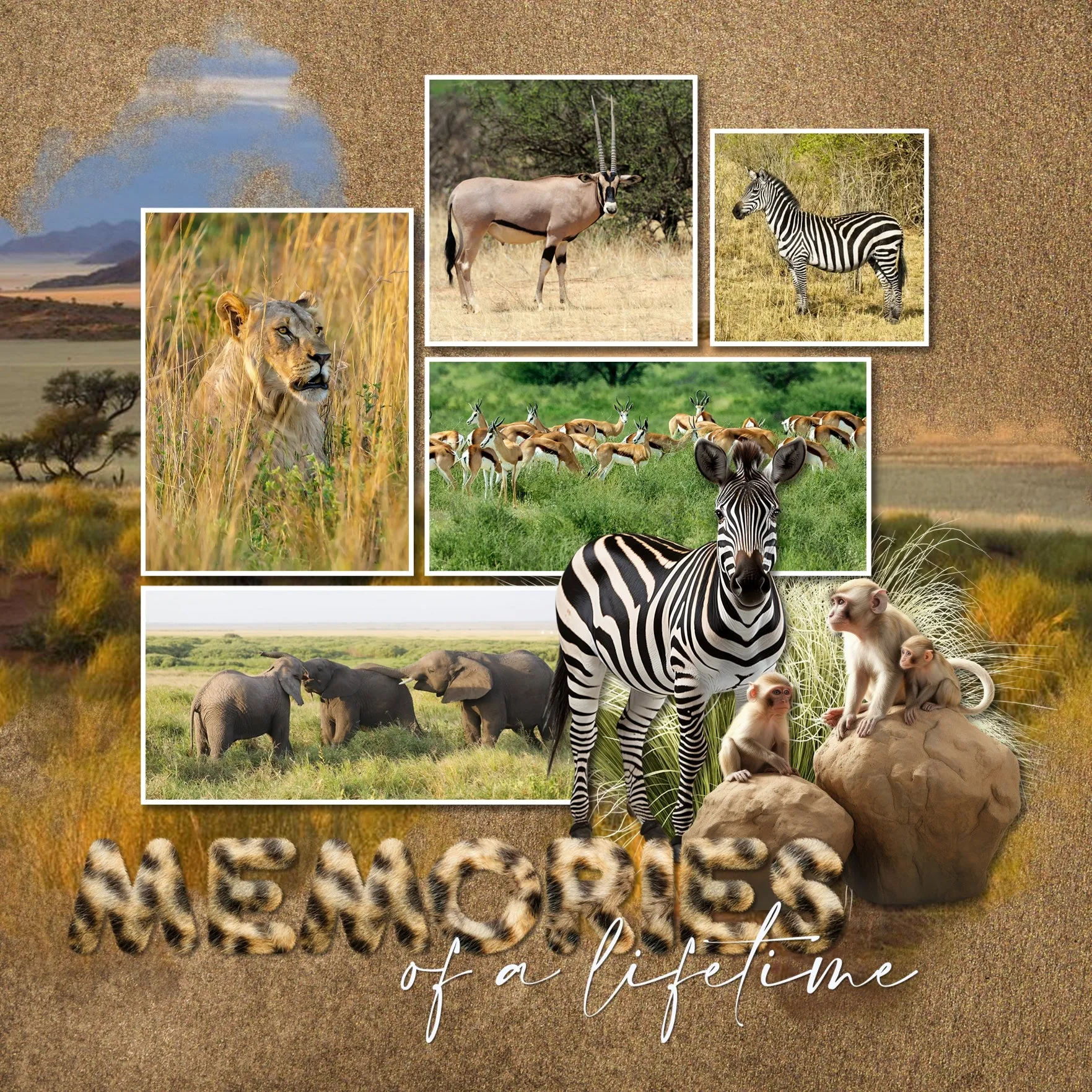 Cheetah Alpha Digital Scrapbook Kit