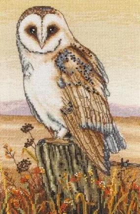 Cross Stitch Kit Anchor - Owl Horizon