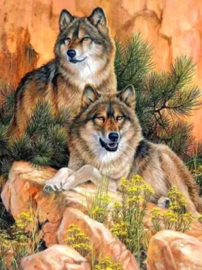 DIY Animal Diamond Painting - Full Square/Round 5D Diamonds, Two Mountain Wolves