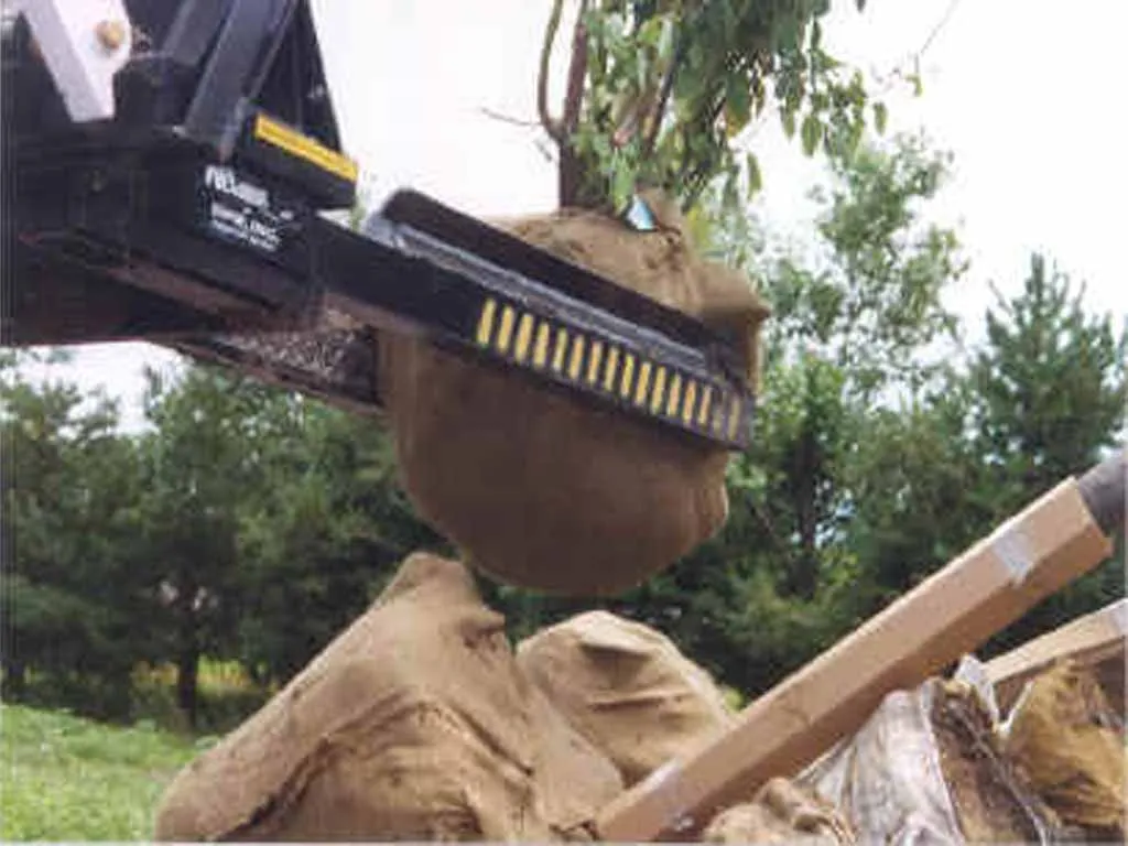 DPM nursery jaws JR tree forks hybrid style for skid steer loaders