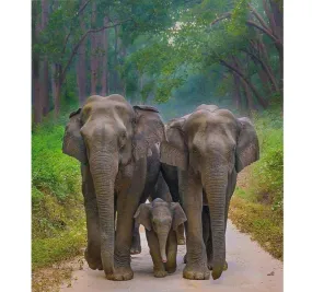 Elephant Diamond Painting Kit | Full Square/Round Drill 5D Diamond Embroidery | DIY Elephant Family Rhinestone Painting