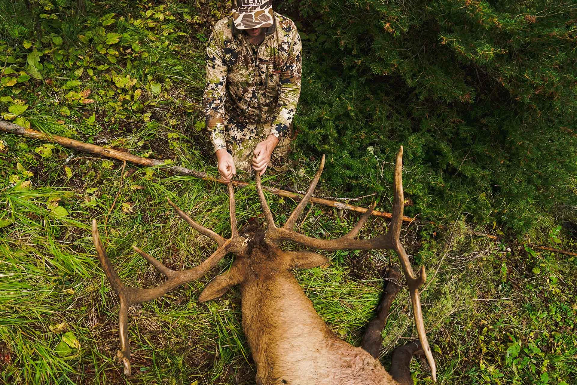 Elk AlphaShield