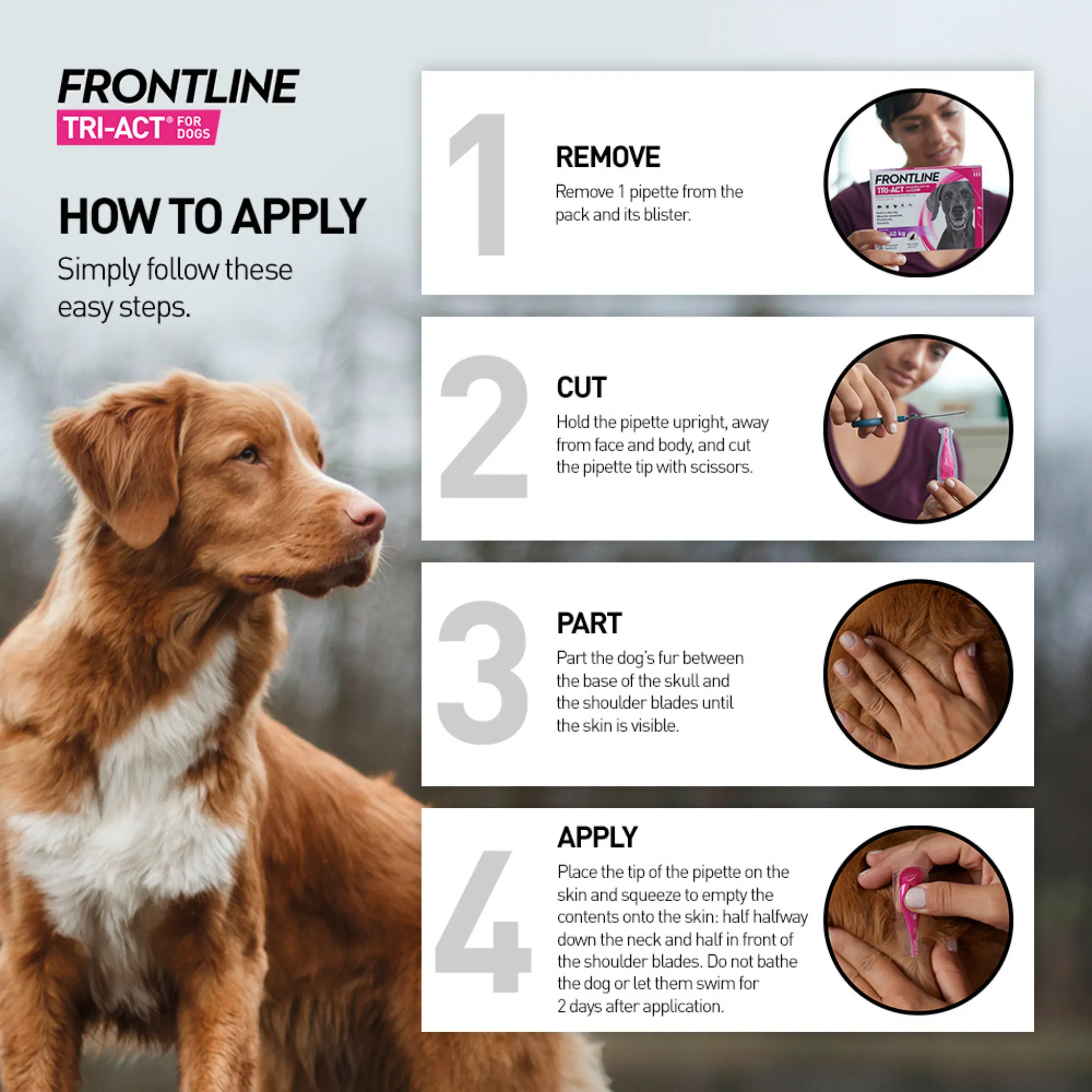 Frontline Tri-Act Spot On Solution For Dogs - 10-20kg