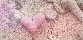 Home Decor Wall Art Beach Pink