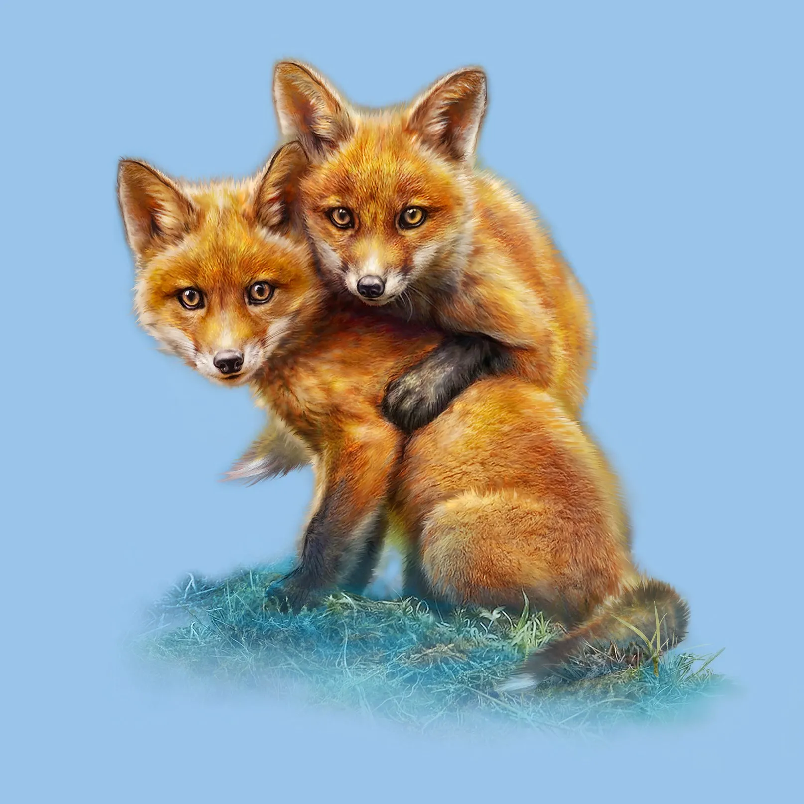 Infant Fox Kits Snap T-Shirt