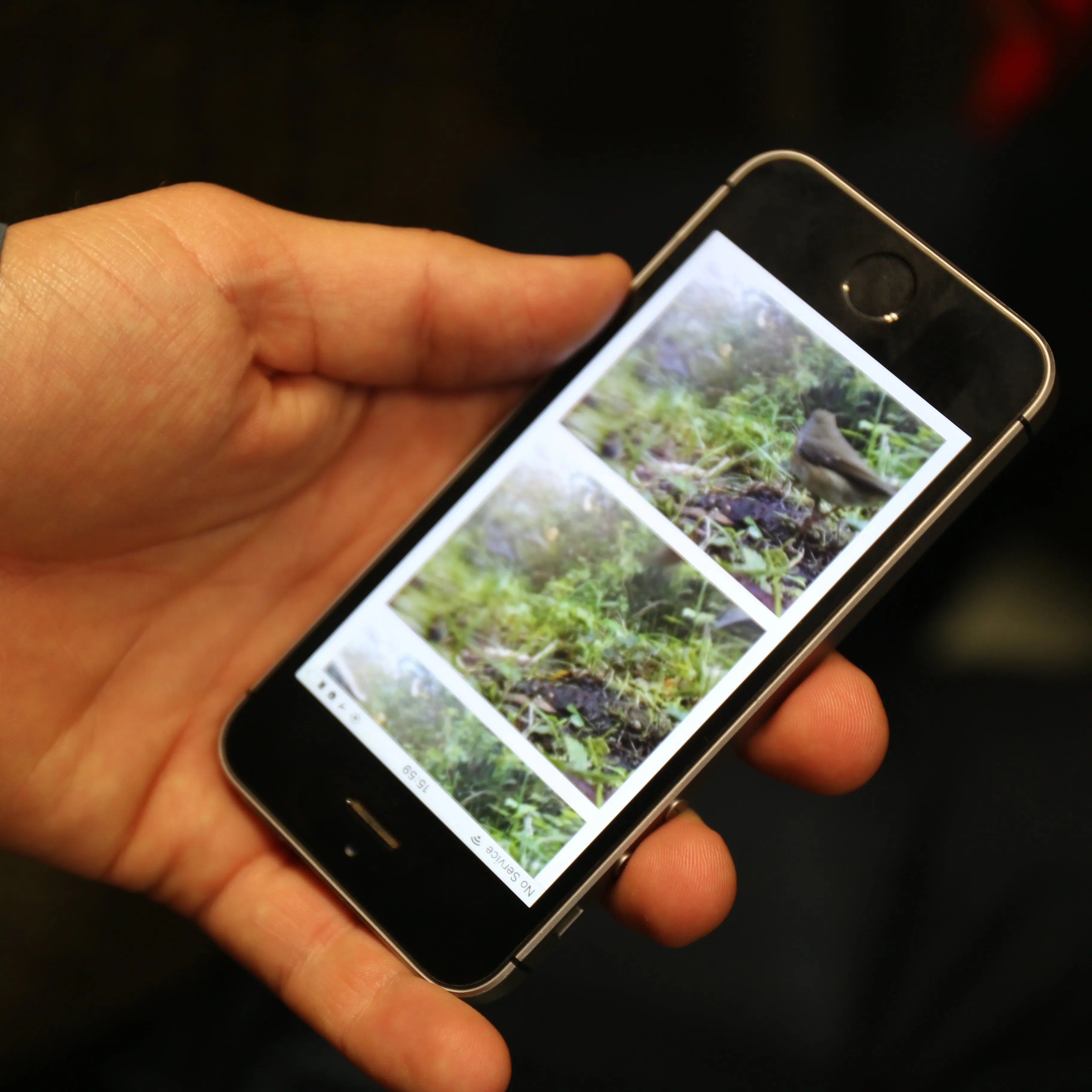 My Naturewatch Wildlife Camera