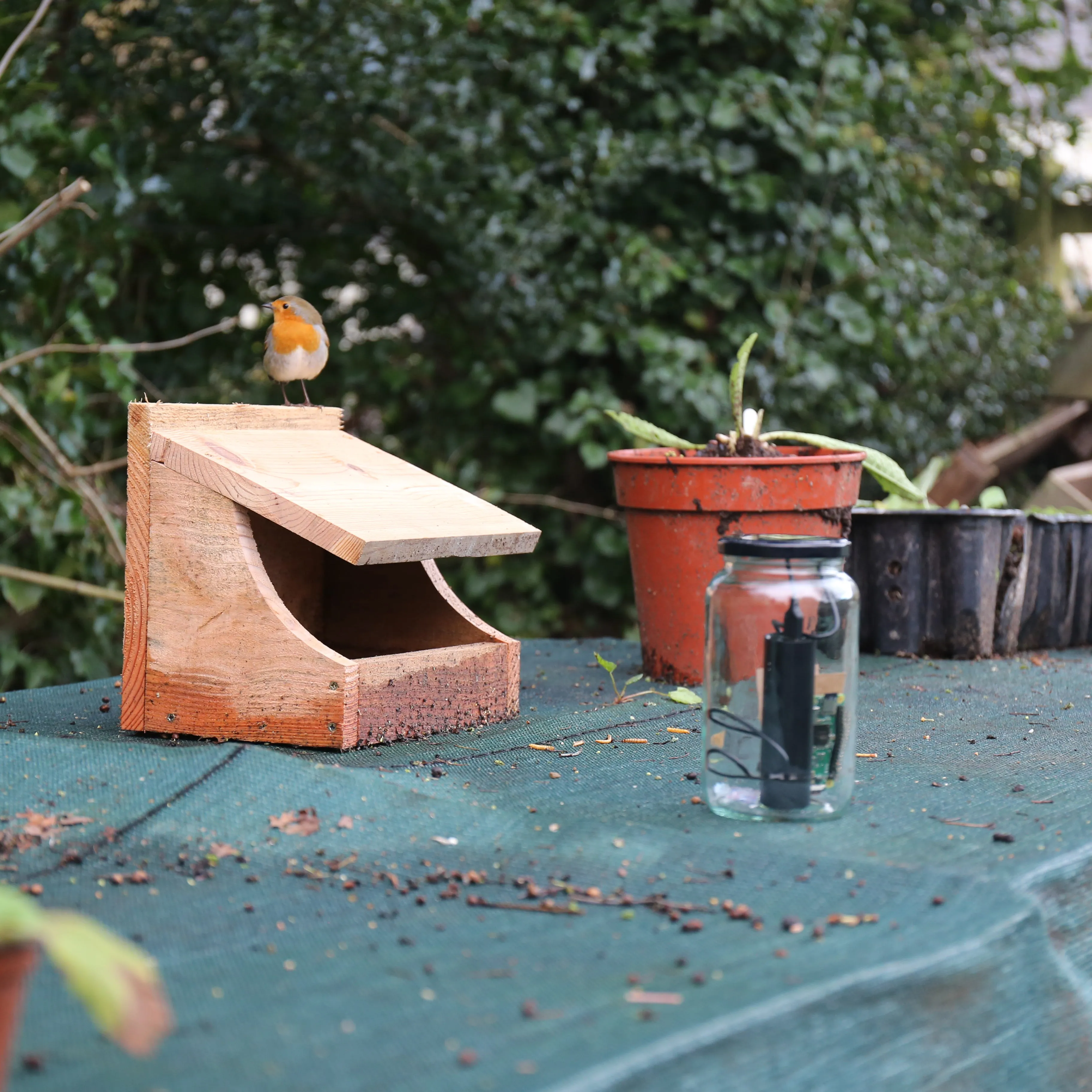 My Naturewatch Wildlife Camera