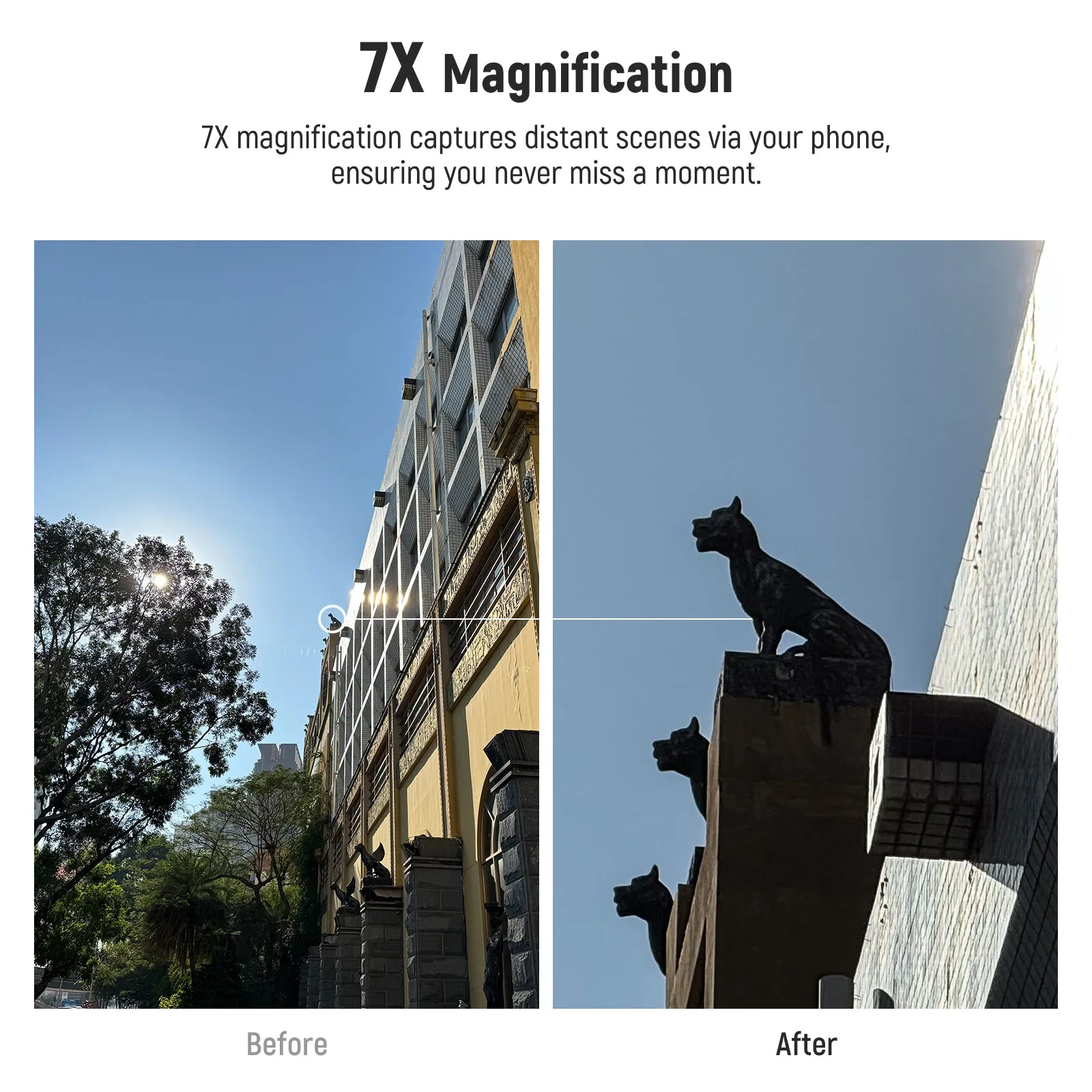 NEEWER LS-36 HD Telephoto Lens for Phone Cage for 17mm Thread