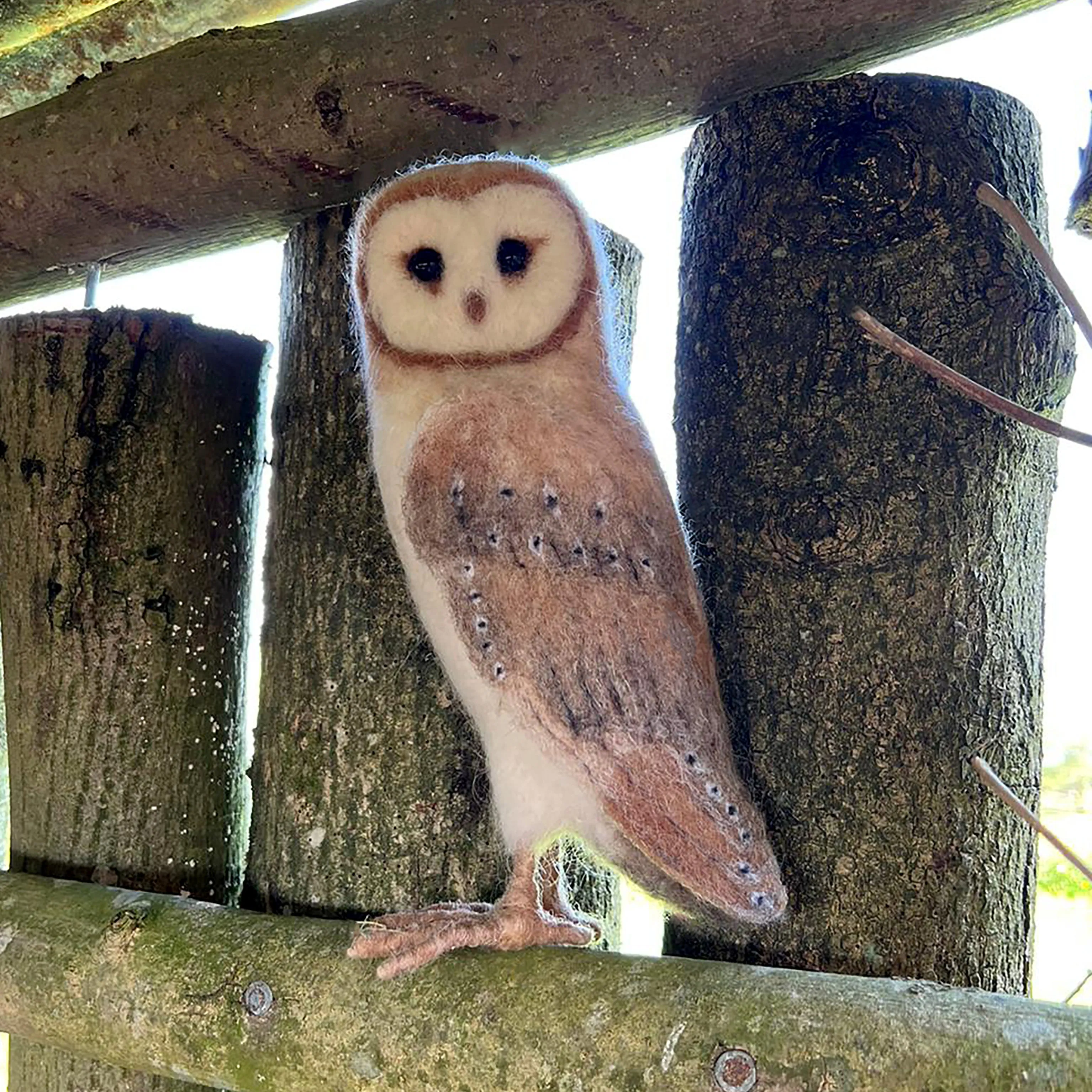 New and Improved   more core wool - Large Barn Owl Needle Felt Pack- with or without tools