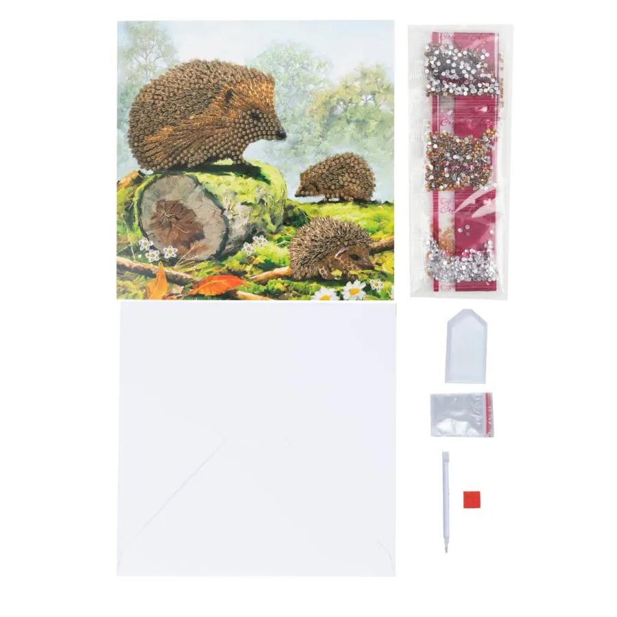 "Happy Hedgehog" Crystal Art Card 18x18cm