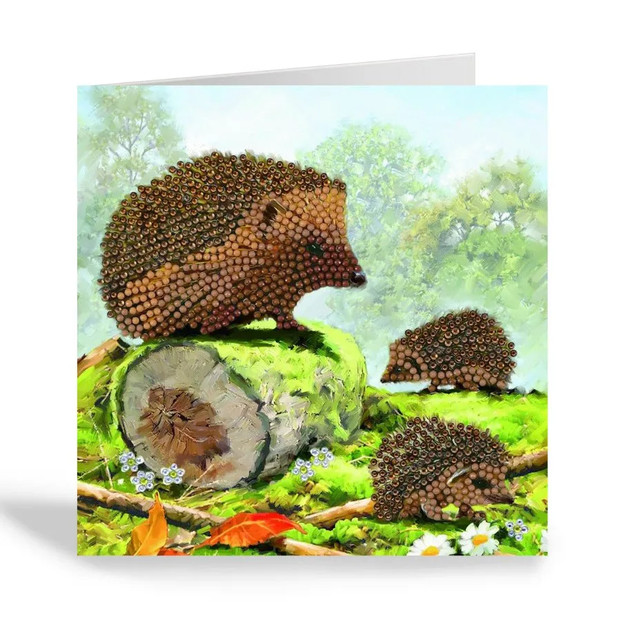 "Happy Hedgehog" Crystal Art Card 18x18cm