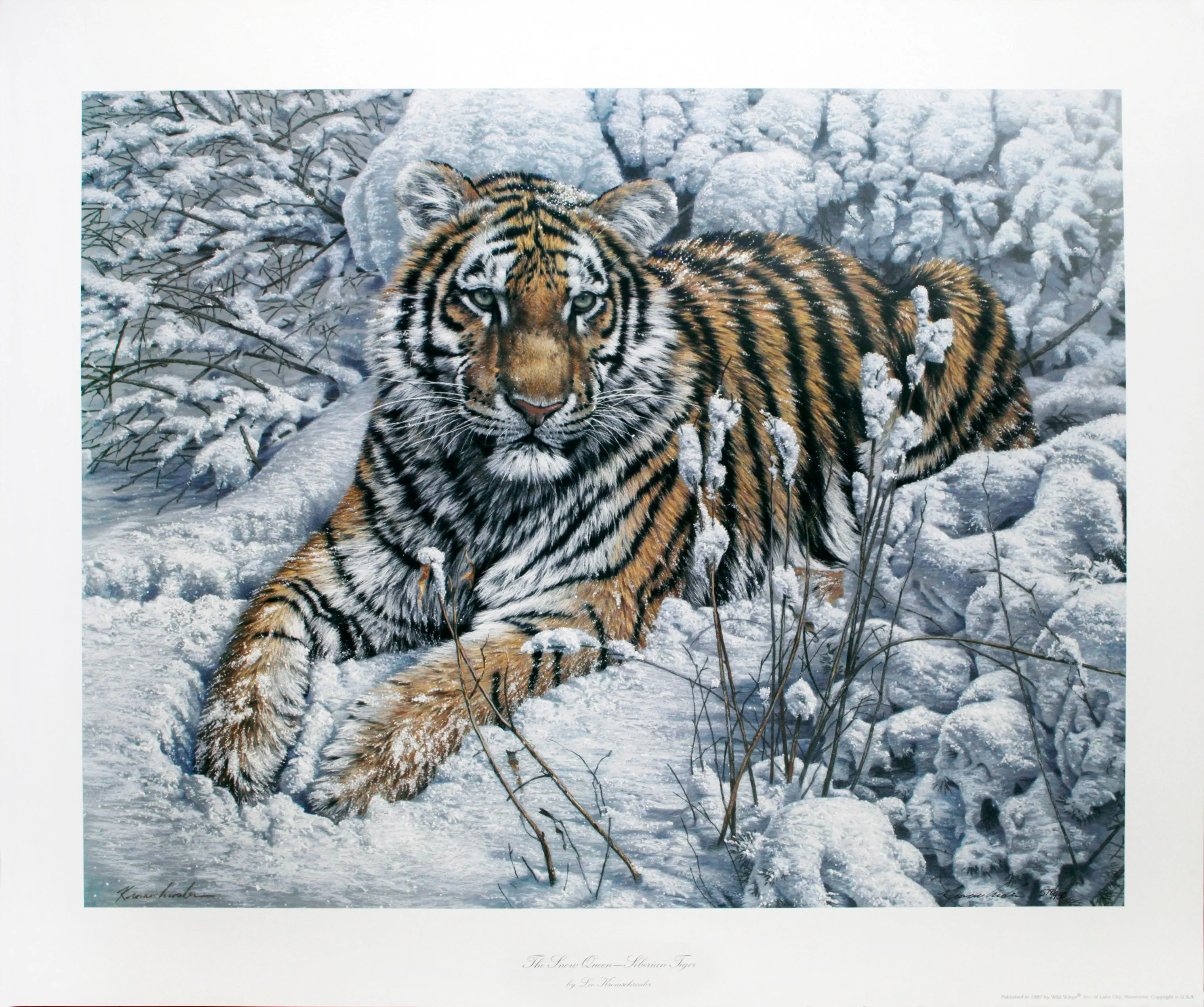 "The Snow Queen - Siberian Tiger" by Lee Kromschroeder