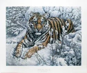 "The Snow Queen - Siberian Tiger" by Lee Kromschroeder