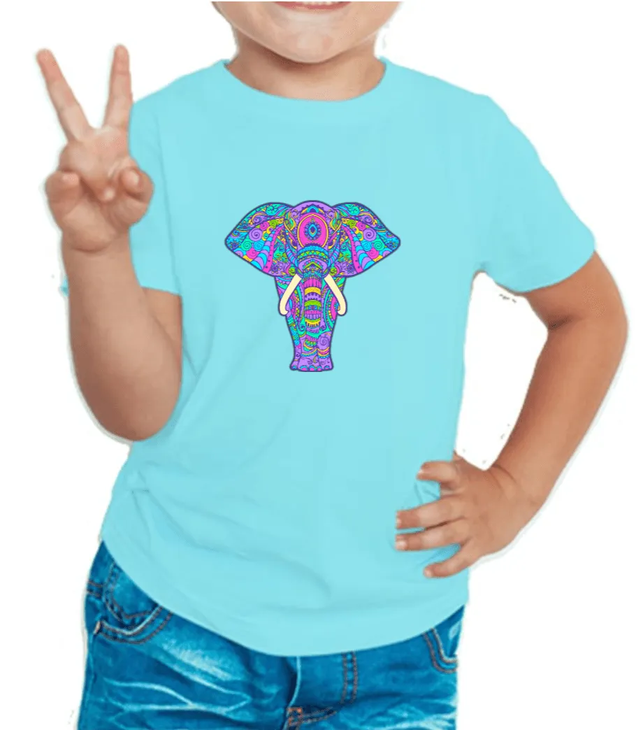 Royal Elephant Graphics Boy's T Shirt for Kids D14