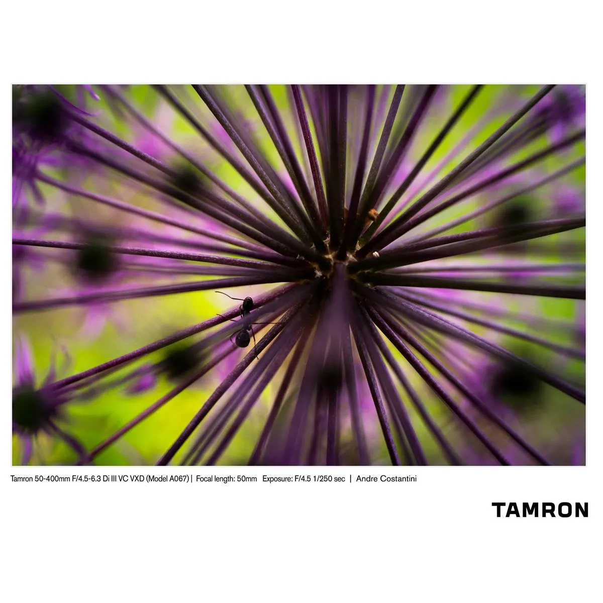 Tamron 50-400mm f/4.5-6.3 Di III VC VXD Lens for Sony E