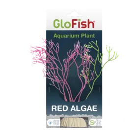 Tetra GloFish Red Algae Aquarium Plant
