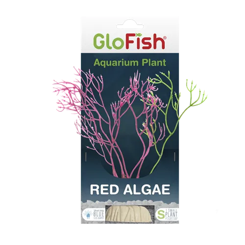 Tetra GloFish Red Algae Aquarium Plant