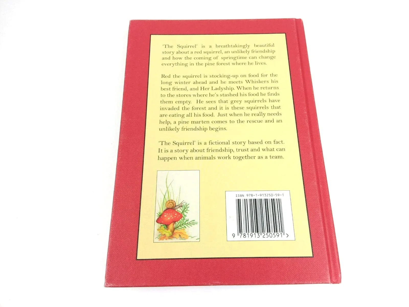 The Squirrel Book by Fiona C Lunn