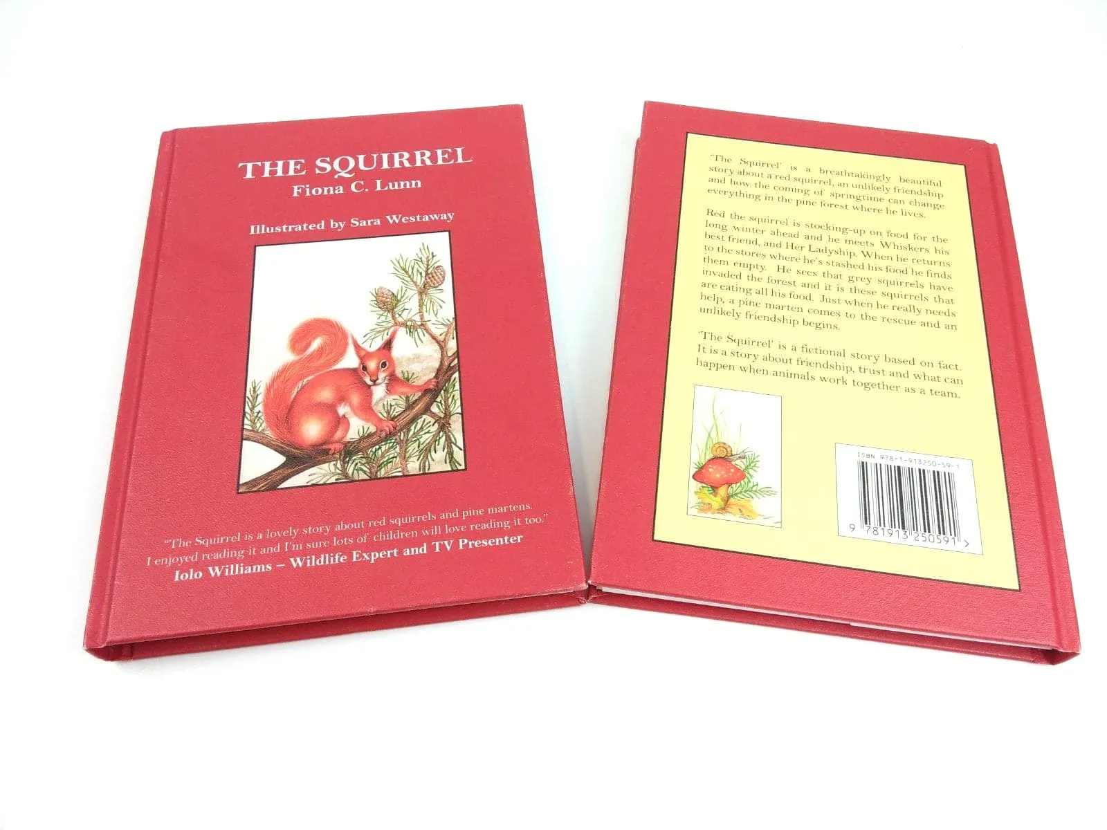 The Squirrel Book by Fiona C Lunn