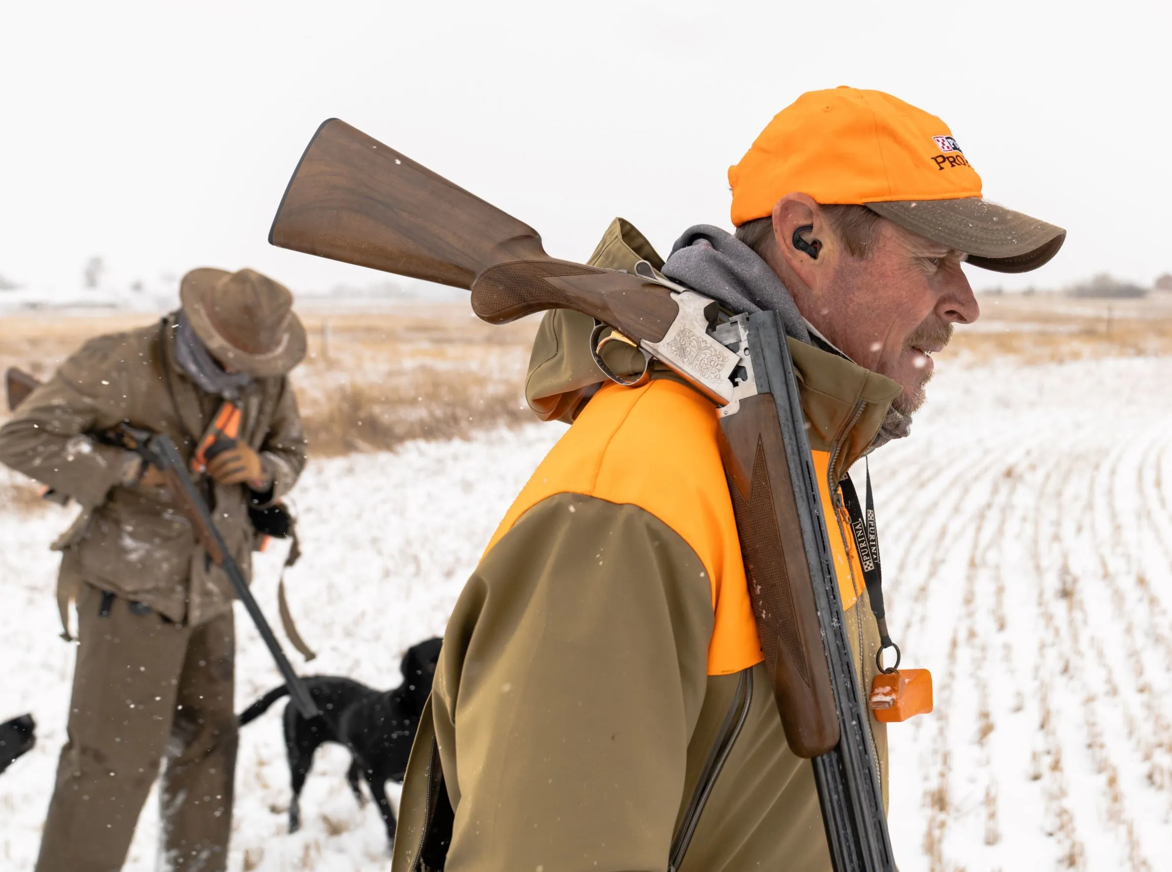 Upland AlphaShield