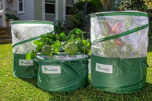 VEGEBAG