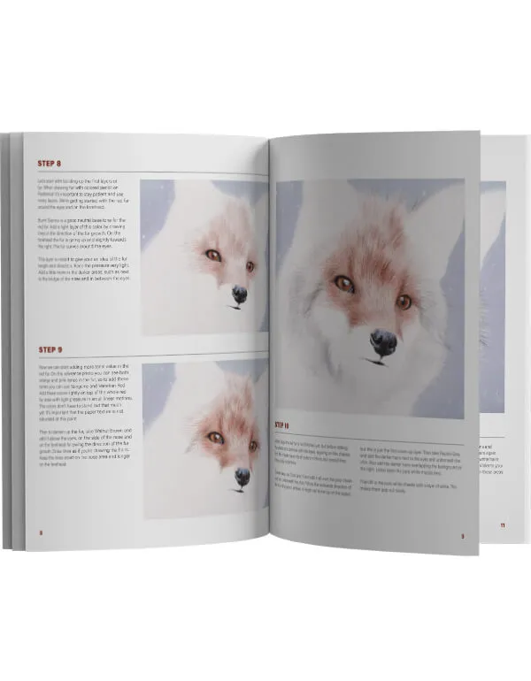 Winter Fox: In-Depth Colored Pencil Tutorial